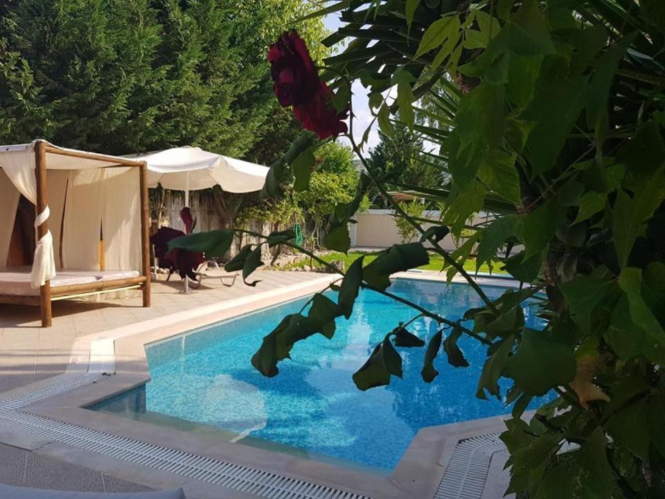 Villa Adonis With Private Pool By Lefkadastay Екстериор снимка